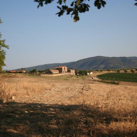 Agriturismo Podere Del Vescovo Montenero d'Orcia Bagian luar foto