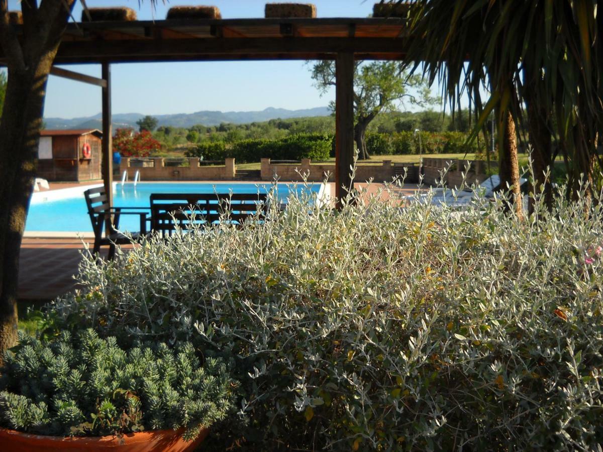 Agriturismo Podere Del Vescovo Montenero d'Orcia Bagian luar foto