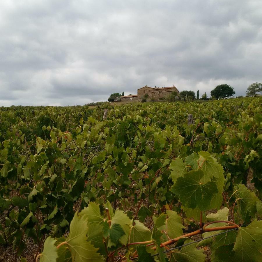 Agriturismo Podere Del Vescovo Montenero d'Orcia Bagian luar foto