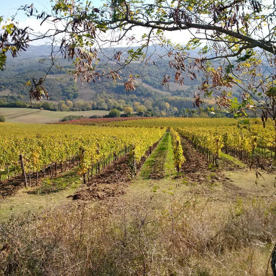 Agriturismo Podere Del Vescovo Montenero d'Orcia Bagian luar foto