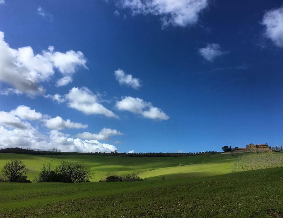 Agriturismo Podere Del Vescovo Montenero d'Orcia Bagian luar foto
